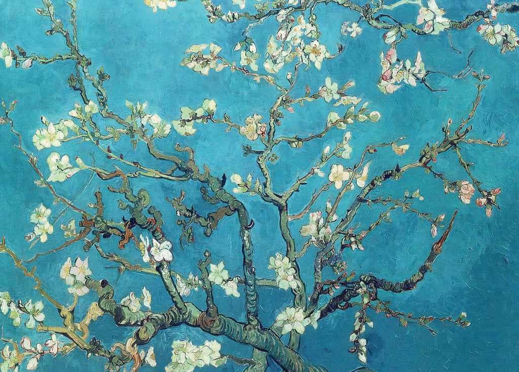 Almond Blossom - Vincent Van Gogh - Greetings Card by Vincent Van Gogh