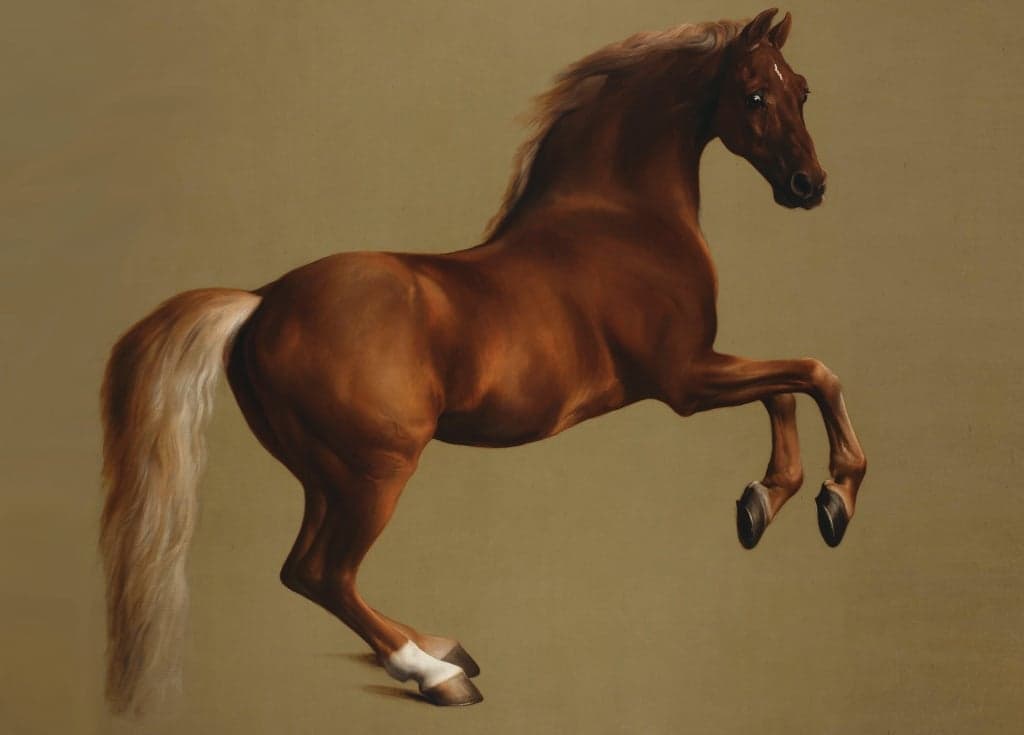 Whistlejacket - George Stubbs - Greetings Card by George Stubbs